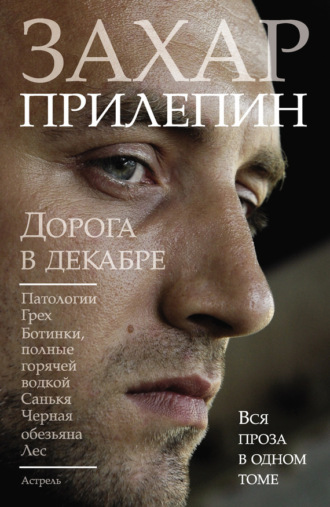 . Дорога в декабре (сборник)