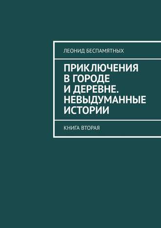 . Приключения в городе и деревне. Невыдуманные истории. Книга вторая