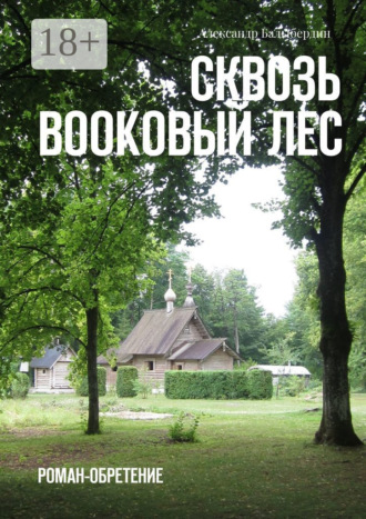 Александр Геннадьевич Балыбердин. Сквозь Bookовый лес. Роман-обретение