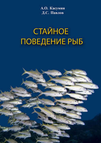 . Стайное поведение рыб