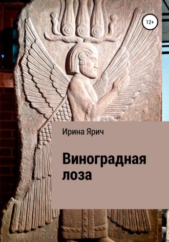 . Виноградная лоза