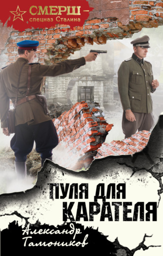 . Пуля для карателя