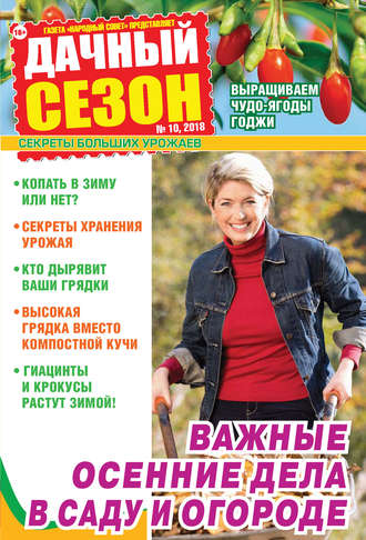 . Дачный сезон №10/2018