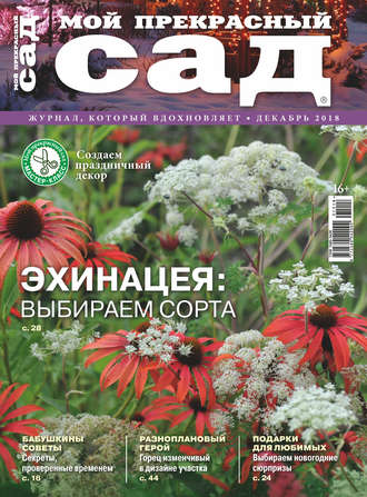 . Мой прекрасный сад №12/2018