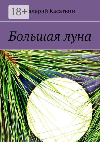 Валерий Касаткин. Большая луна