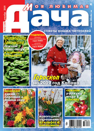 . Моя любимая дача №12/2018