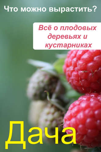 . Что можно вырастить? Всё о плодовых деревьях и кустарниках
