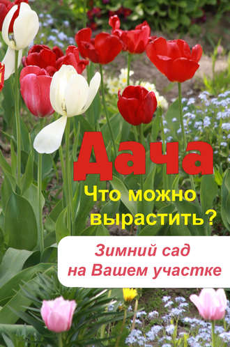 . Что можно вырастить? Зимний сад на вашем участке