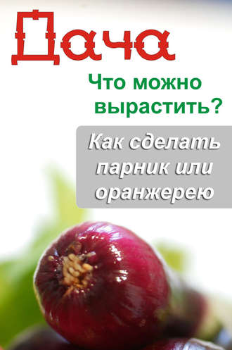 . Что можно вырастить? Как сделать парник или оранжерею