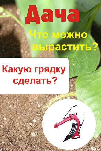 . Что можно вырастить? Какую грядку сделать?