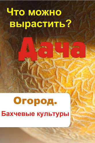 . Что можно вырастить? Огород. Бахчевые культуры