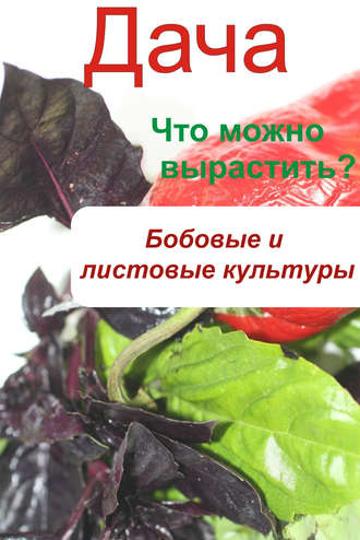 . Что можно вырастить? Огород. Бобовые и листовые культуры