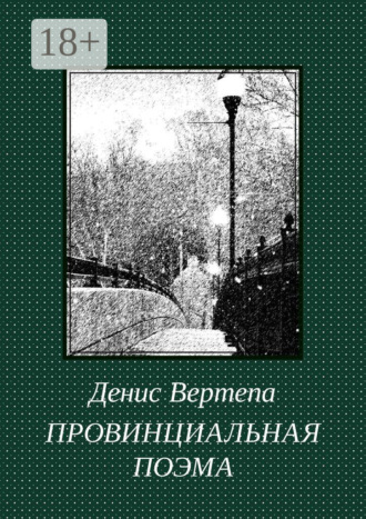 . Провинциальная поэма. Роман в стихах