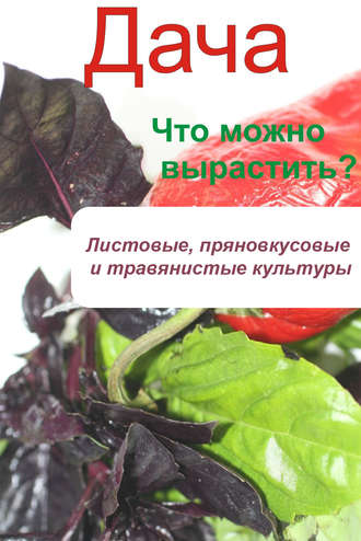 . Что можно вырастить? Листовые, пряновкусовые и травянистые культуры
