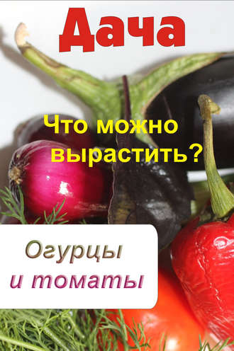 . Что можно вырастить? Огурцы и томаты