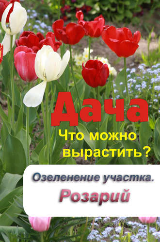 . Что можно вырастить? Озеленение участка. Розарий
