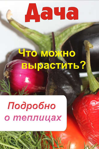 . Что можно вырастить? Подробно о теплицах