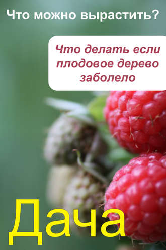 . Что можно вырастить? Что делать, если плодовое дерево заболело