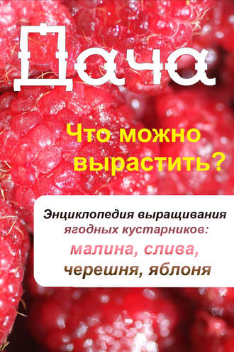 . Что можно вырастить? Энциклопедия выращивания ягодных кустарников: малина, слива, черешня, яблоня