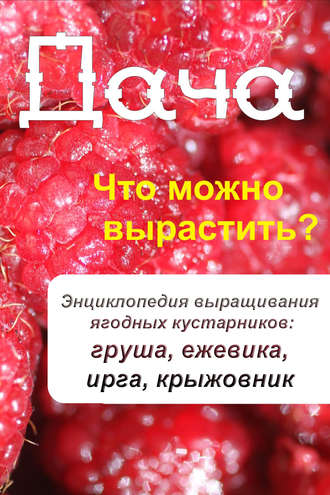 . Что можно вырастить? Энциклопедия выращивания ягодных кустарников: груша, ежевика, ирга, крыжовник