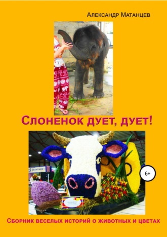 . Слоненок дует, дует!