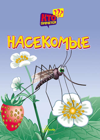 . Насекомые