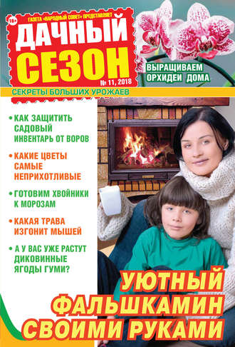 . Дачный сезон №11/2018