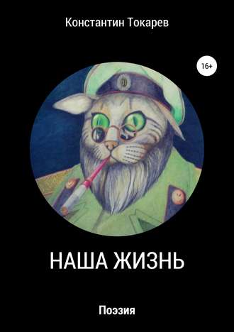 Константин Александрович Токарев. Наша жизнь