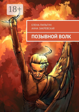 . Позывной Волк