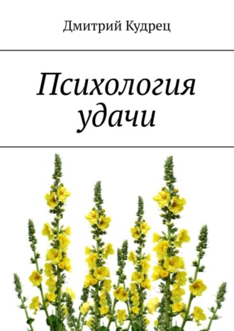 . Психология удачи