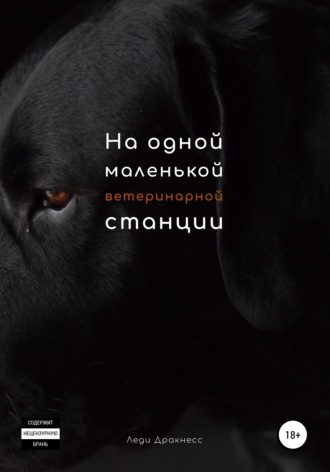 . На одной маленькой ветеринарной станции