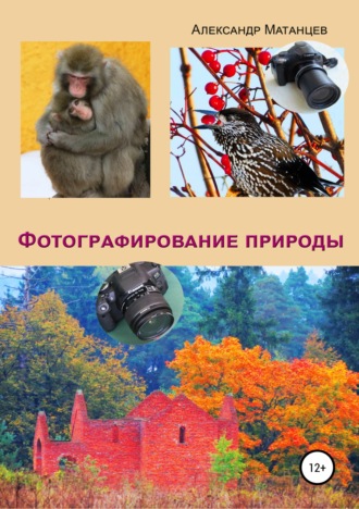 Александр Матанцев. Фотографирование природы