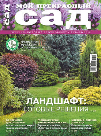 . Мой прекрасный сад №01/2019