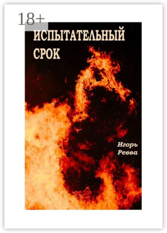 . Испытательный срок