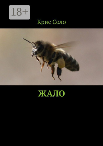 Крис Соло. Жало