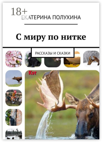Екатерина Полухина. С миру по нитке. Рассказы и сказки