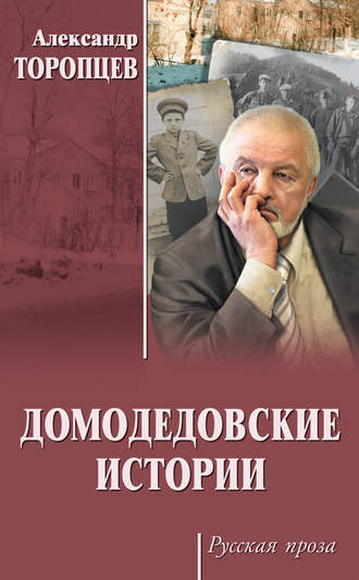 Александр Торопцев. Домодедовские истории (сборник)