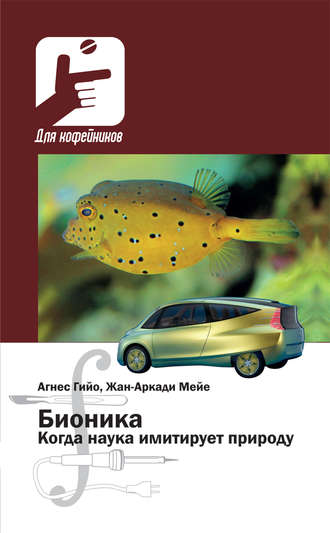 . Бионика. Когда наука имитирует природу