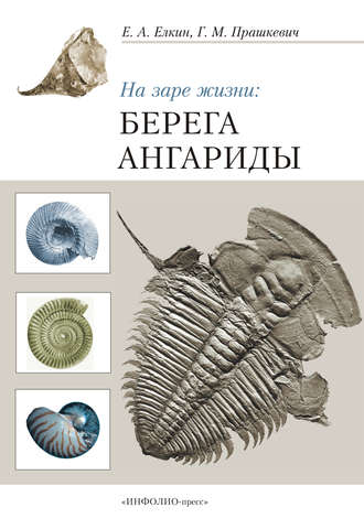 . На заре жизни: берега Ангариды