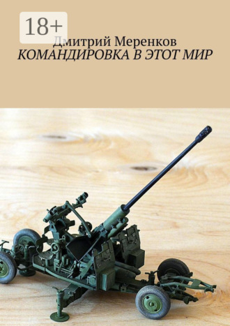 . Командировка в этот мир