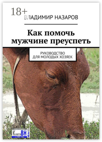 . Как помочь мужчине преуспеть. Руководство для молодых хозяек