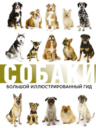 . Собаки. Большой иллюстрированный гид