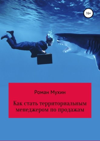 Роман Николаевич Мухин. Как стать территориальным менеджером по продажам