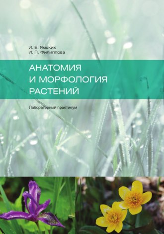 Ирина Ямских. Анатомия и морфология растений