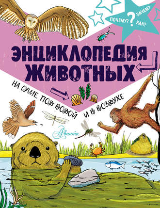 Джон Фарндон. Энциклопедия животных: на суше, под водой и в воздухе