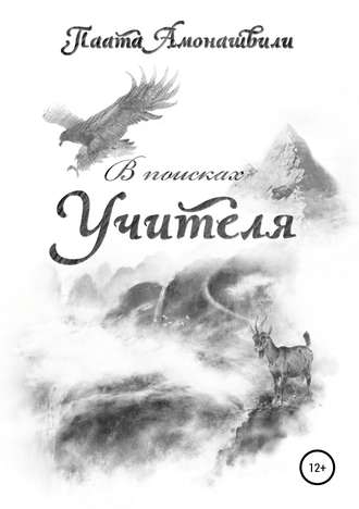. В поисках Учителя