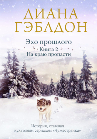 . Эхо прошлого. Книга 2. На краю пропасти