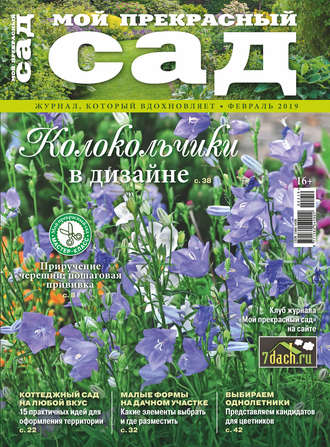 . Мой прекрасный сад №02/2019