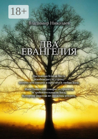 . Два Евангелия. Современные и вечные проблемы христианства, отношений человека и Бога