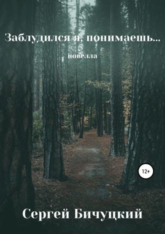 Сергей Марксович Бичуцкий. Заблудился я, понимаешь…